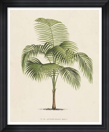 Framed Les Palmiers I Print