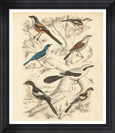 Framed Avian Habitat V Print