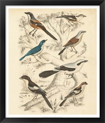 Framed Avian Habitat V Print