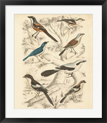 Framed Avian Habitat V Print