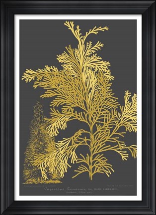 Framed Trees &amp; Leaves I Print