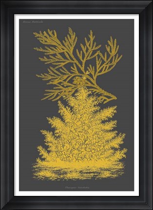 Framed Trees &amp; Leaves II Print