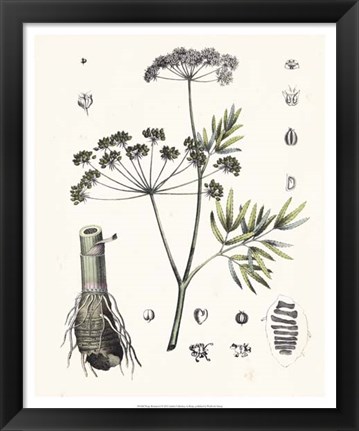 Framed Berge Botanicals I Print