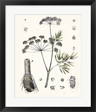 Framed Berge Botanicals I Print