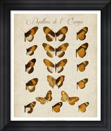 Framed Papillons de L'Europe I Print