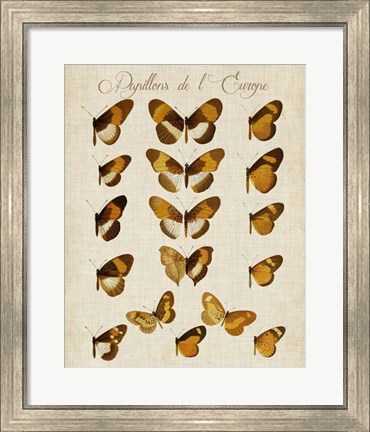 Framed Papillons de L&#39;Europe I Print