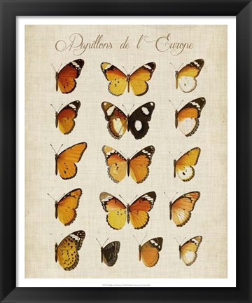 Framed Papillons de L&#39;Europe II Print