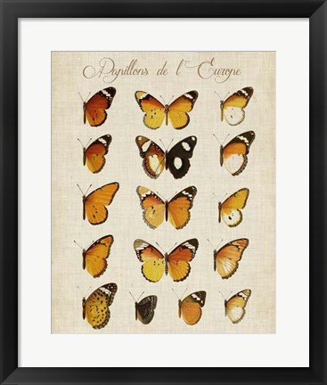 Framed Papillons de L&#39;Europe II Print