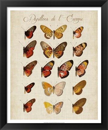 Framed Papillons de L&#39;Europe III Print