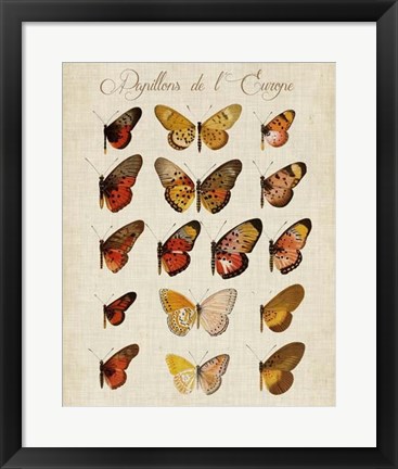 Framed Papillons de L&#39;Europe III Print