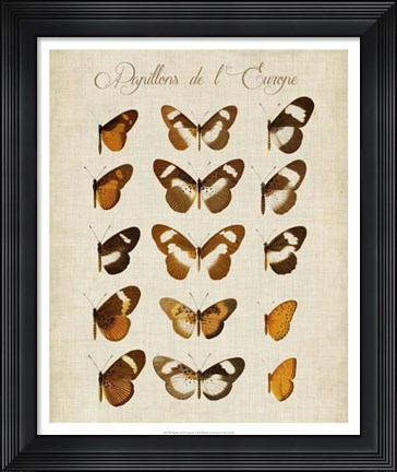 Framed Papillons de L'Europe IV Print