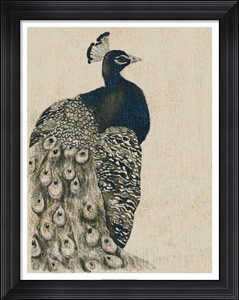 Framed Textured Peacock I Print