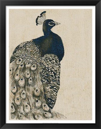 Framed Textured Peacock I Print