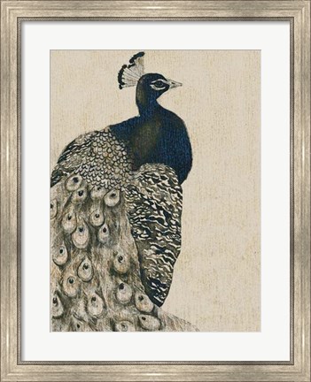 Framed Textured Peacock I Print
