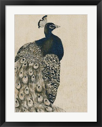 Framed Textured Peacock I Print