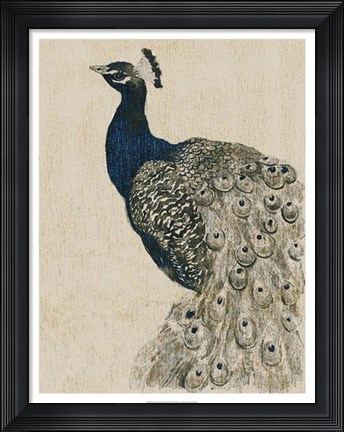 Framed Textured Peacock II Print