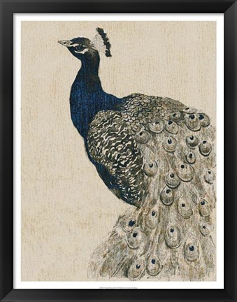 Framed Textured Peacock II Print