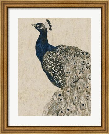Framed Textured Peacock II Print