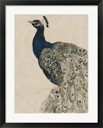 Framed Textured Peacock II Print