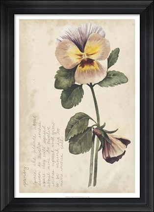 Framed Garden Studies I Print