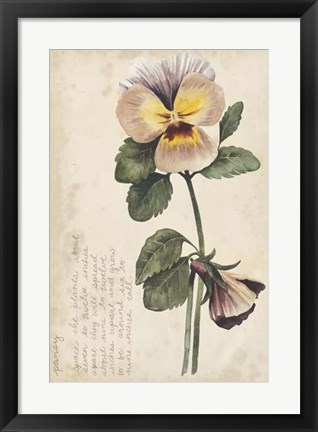 Framed Garden Studies I Print