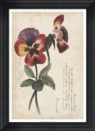 Framed Garden Studies II Print