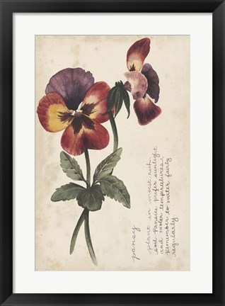 Framed Garden Studies II Print