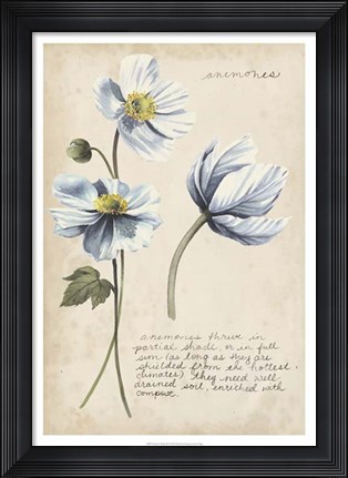 Framed Garden Studies III Print