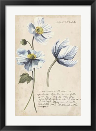 Framed Garden Studies III Print