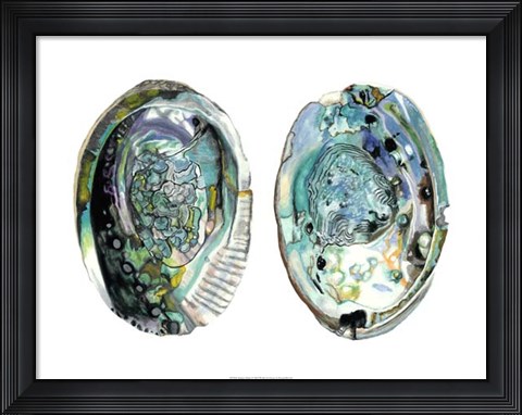 Framed Abalone Shells I Print