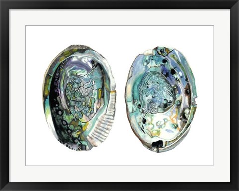 Framed Abalone Shells I Print