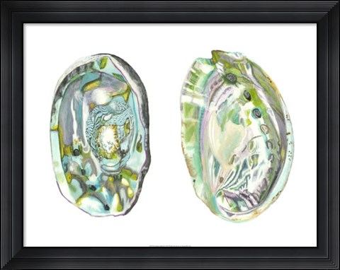 Framed Abalone Shells II Print
