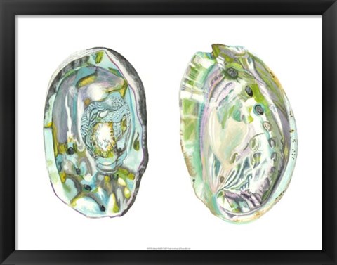 Framed Abalone Shells II Print