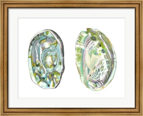 Framed Abalone Shells II Print