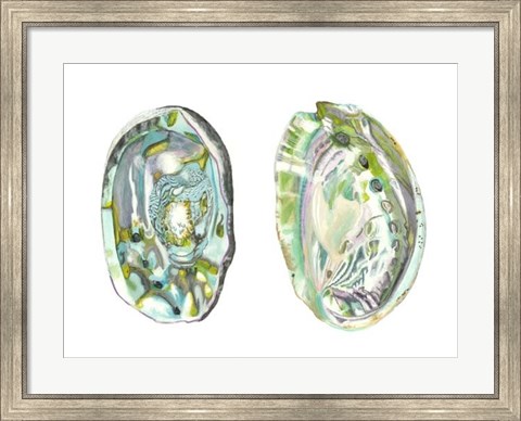 Framed Abalone Shells II Print