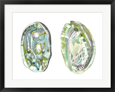 Framed Abalone Shells II Print