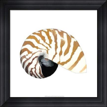 Framed Seashore Souvenirs III Print