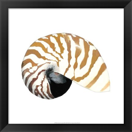 Framed Seashore Souvenirs III Print