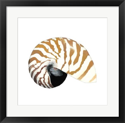 Framed Seashore Souvenirs III Print