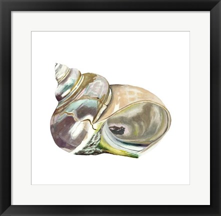 Framed Seashore Souvenirs IV Print