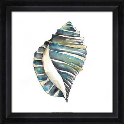 Framed Aquarelle Shells I Print
