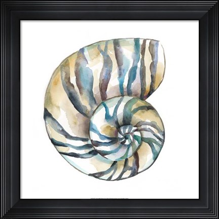 Framed Aquarelle Shells II Print