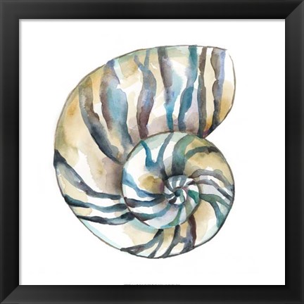 Framed Aquarelle Shells II Print