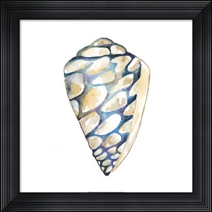 Framed Aquarelle Shells III Print