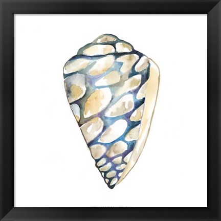 Framed Aquarelle Shells III Print