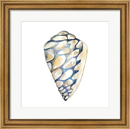 Framed Aquarelle Shells III Print