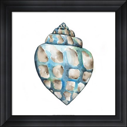 Framed Aquarelle Shells V Print