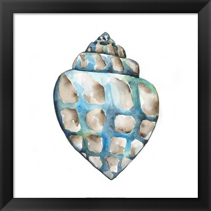 Framed Aquarelle Shells V Print