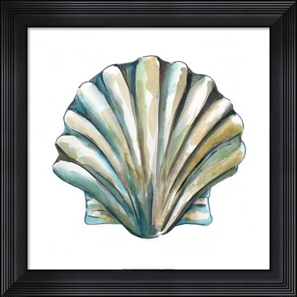 Framed Aquarelle Shells VI Print