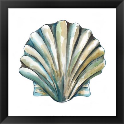 Framed Aquarelle Shells VI Print
